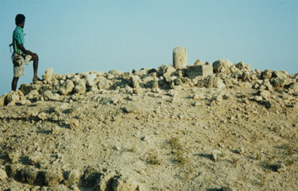 Dahlaks_0014_1.jpg
