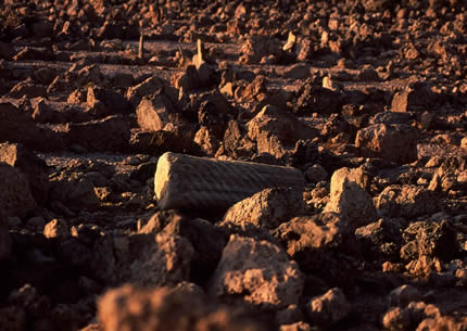Dahlaks_0002.jpg