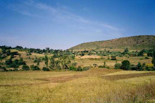 Ethiopian_Farm_Land.jpg
