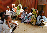 ibc_eritrea_nomads1.jpg