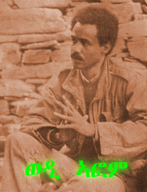 wedi_afom.jpg